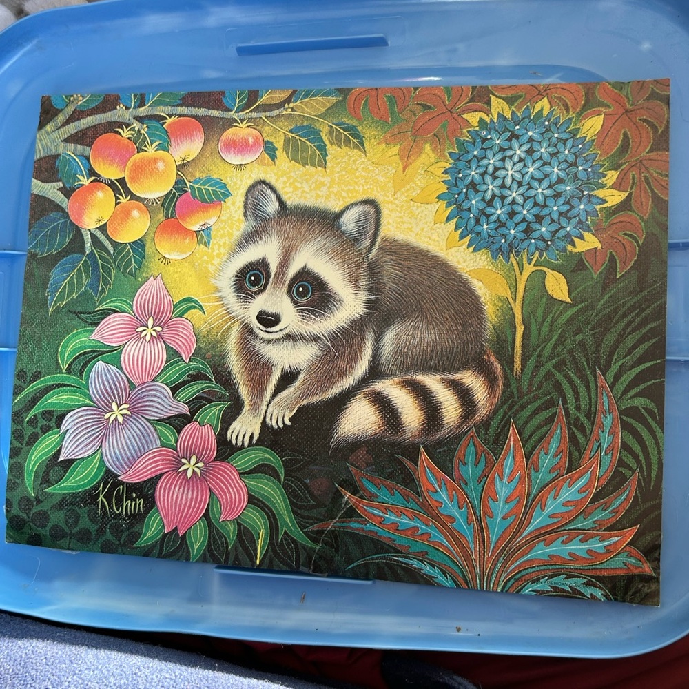 Vintage First Edition 1972 LITHO K Chin Racoon